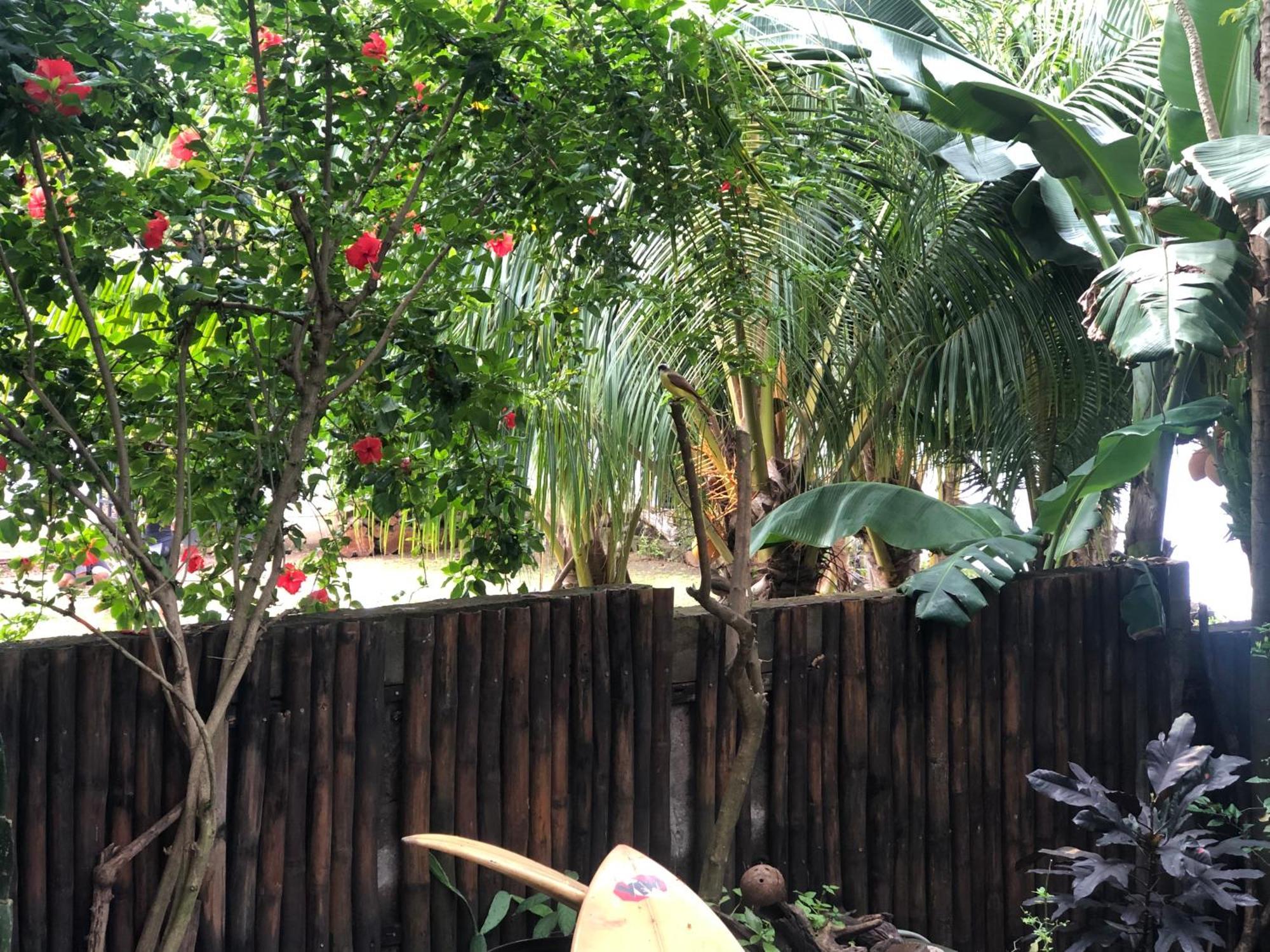 El Marabu Chill'N Surf Bed & Breakfast Aposentillo Ngoại thất bức ảnh